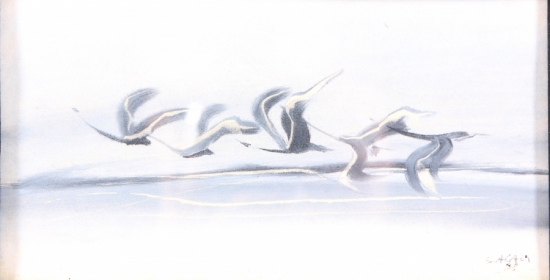 SALİH ACAR  - 20 x 12 cm.